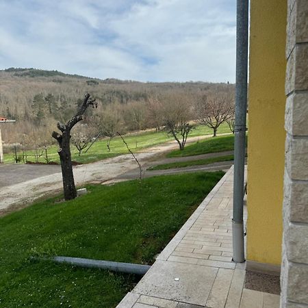 Apartmani Antonio Motovun Luaran gambar